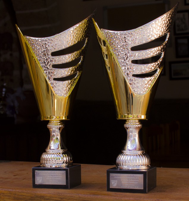 Entrega de Trofeos de Insular Fotosub Tenerife 2015