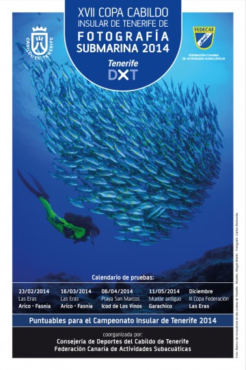Cartel-XVII-Copa-Cabildo-TFE-FOTOSUB-2014