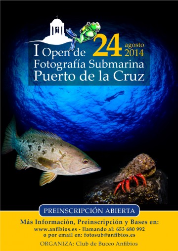 Cartel-I-Open-Fotosub-Puerto-de-la-Cruz-2014