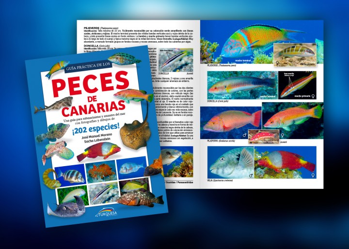 Guía de los Peces de Canarias