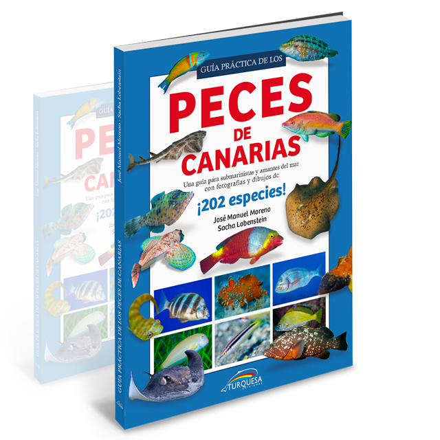 Ya a la venta nuestra Guía práctica de los Peces de Canarias es dos formatos: de Bolsillo o Din-A5